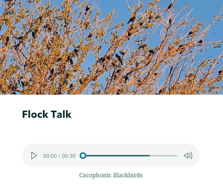 A screenshot from the Sounds of Las Cruces StoryMap showing a tree full of bids and an audio player